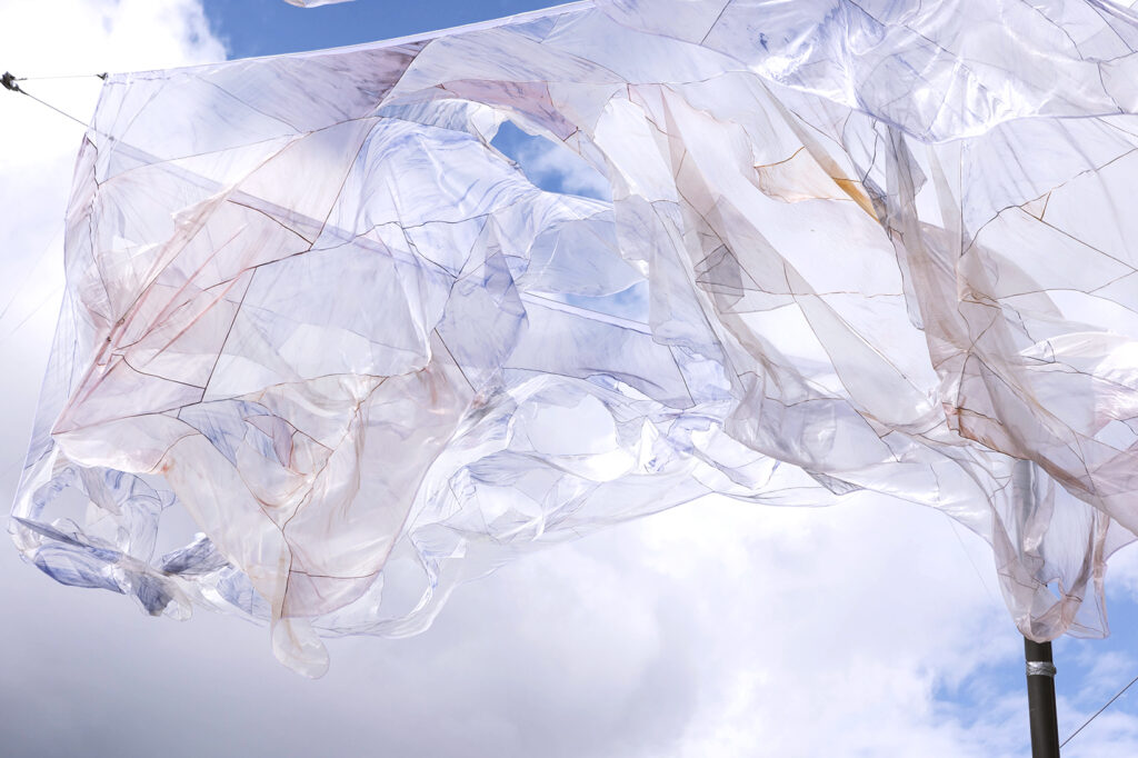 Cover Image for Sommarutställning på Strandvägens kaj