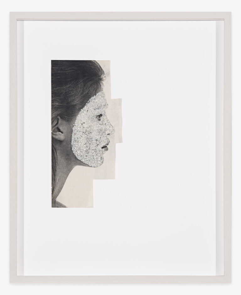 Cover Image for Sous ce masque, un visage II